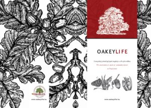 oakeylife-kiadvány-kulcs-fajok-2021-festmények-peszéri-erdő